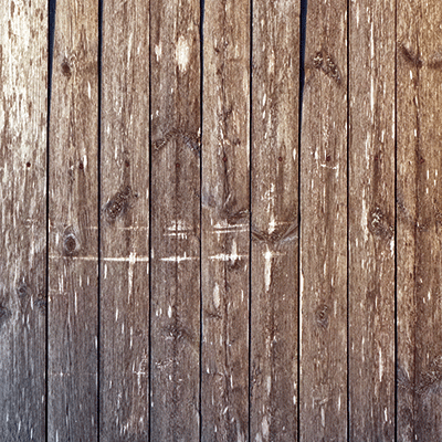 WS Barnwood Beauty: Barnwood Beauty 3