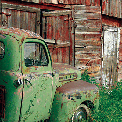 WS Barnwood Beauty: Barnwood Beauty 4