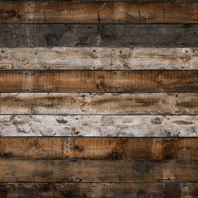 WS Barnwood Beauty: Barnwood Beauty 4