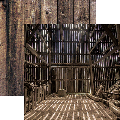 Barnwood Beauty: Barnwood Beauty 5