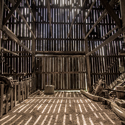 Barnwood Beauty: Barnwood Beauty 5