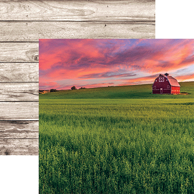 Barnwood Beauty: Barnwood Beauty 6