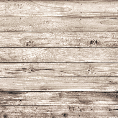 WS Barnwood Beauty: Barnwood Beauty 6