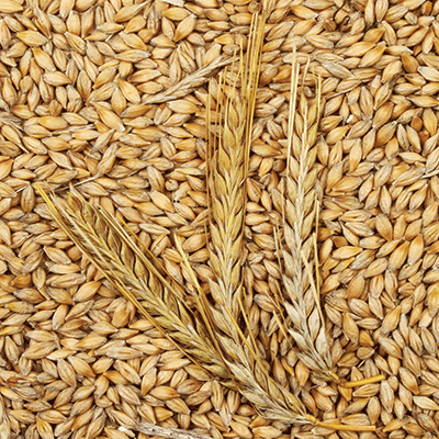 One Bourbon, One Scotch, One Whiskey: One Bourbon, One Scotch, One Whiskey