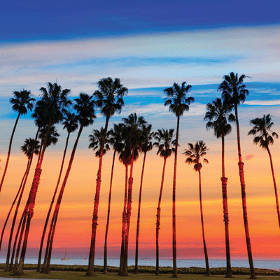 WS California: The Golden State