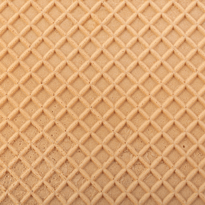 County Fair: Fair Food