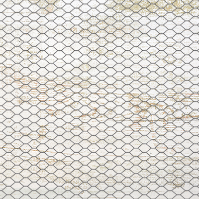 WS Chicken Life: Pecking Order