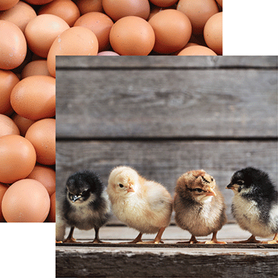 Chicken Life: The Chicks