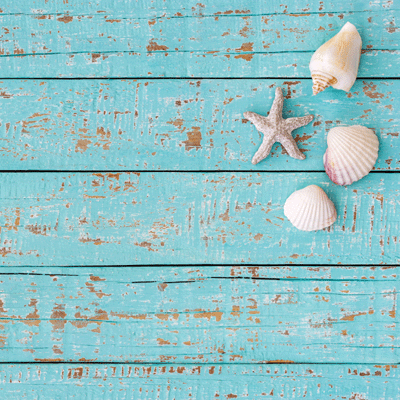 WS Cruise Life: Sunset