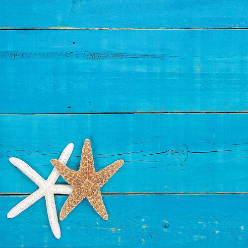 Caribbean Cruise: Set Sail