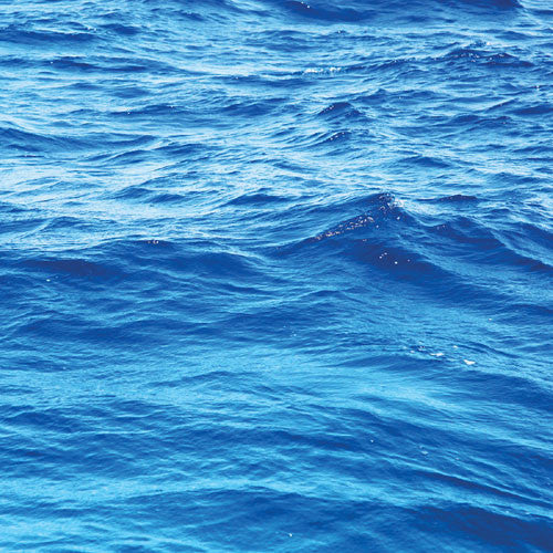 WS Caribbean Cruise: Tropical Dreams