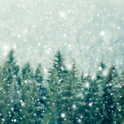 Christmas Spirit: Winter Wonderland