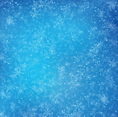 WS Christmas Town: Snowy Night