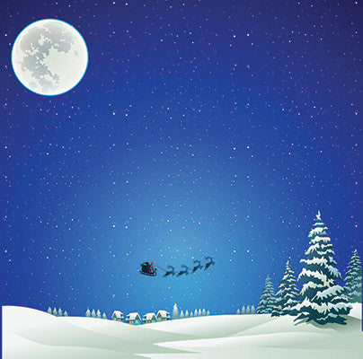 Christmas Town: Snowy Night