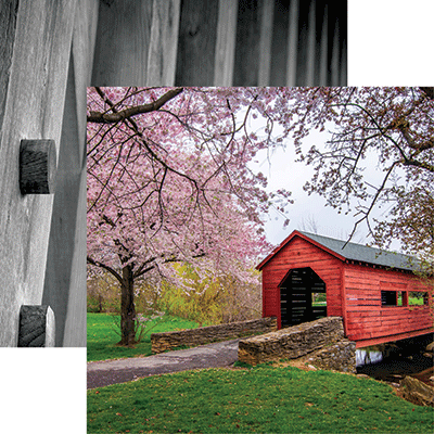 WS Covered Bridges: Cherry Blossoms