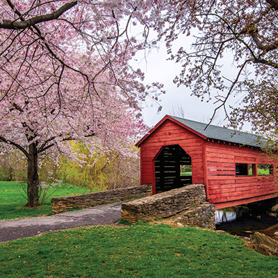 WS Covered Bridges: Cherry Blossoms