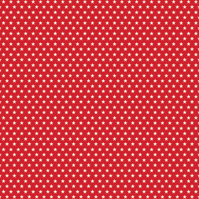 WS Cowboy: Barbed Wire