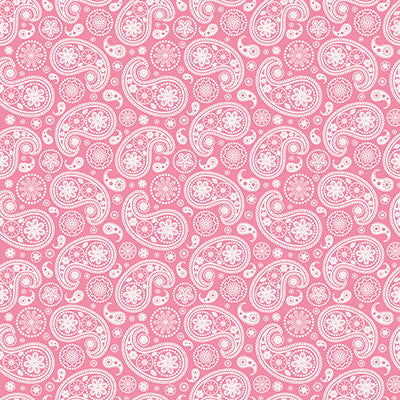 WS Cowgirl: Cowgirls Rock