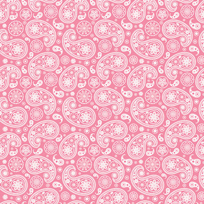 Cowgirl: Cowgirls Rock