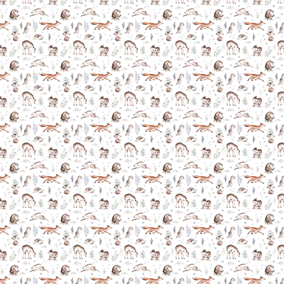 Cozy Winter: Wild Forest