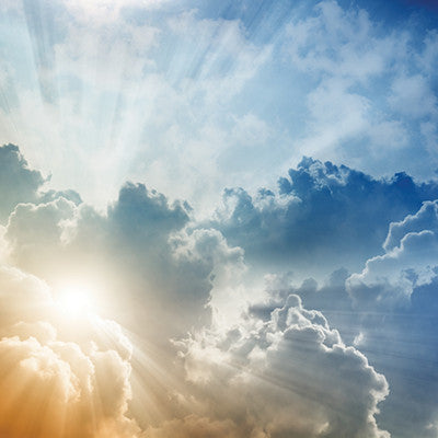 WS Devoted Faith: Joy