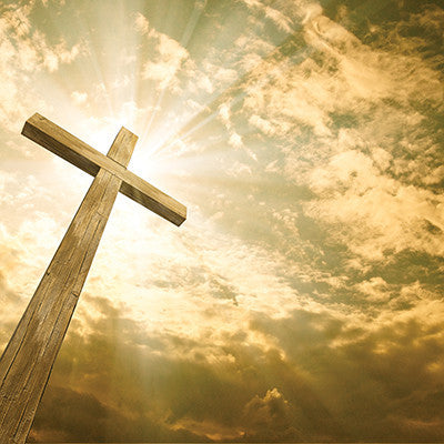 WS Devoted Faith: Risen