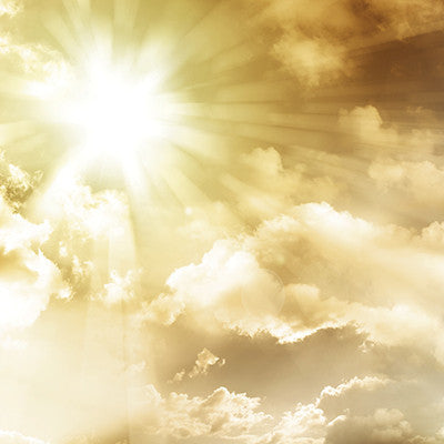 WS Devoted Faith: Risen