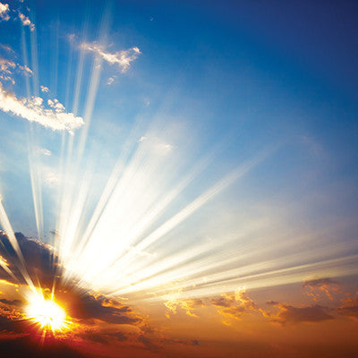 Devoted Faith: Gratitude