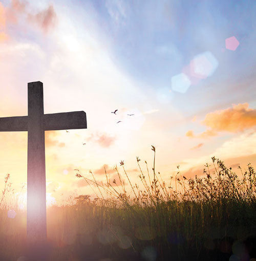 Devoted Faith 2: Amazing Grace