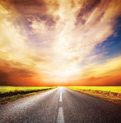 WS Devoted Faith 2: The Journey