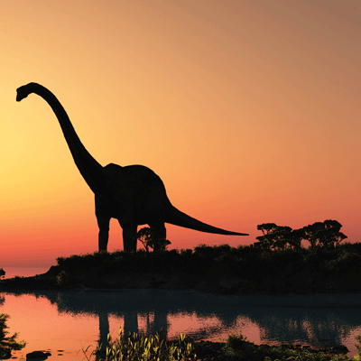 Dinosaur Land: Dinosaur Land