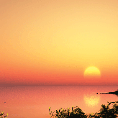 Dinosaur Land: Dinosaur Land