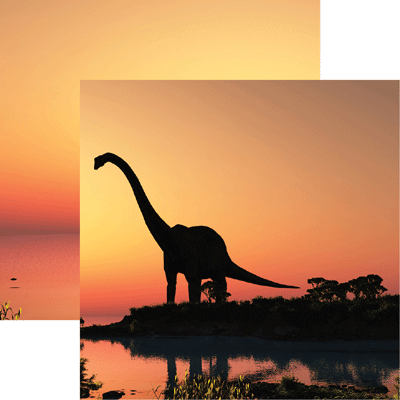 Dinosaur Land: Dinosaur Land