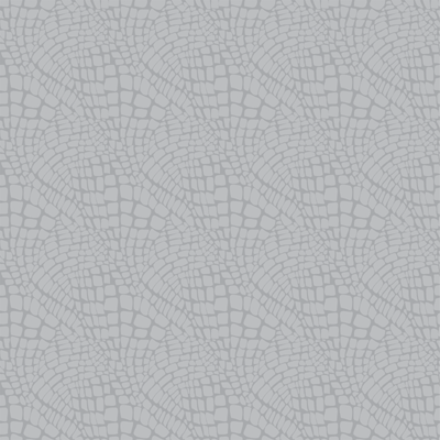 WS Dinosaur Land: Back in Time