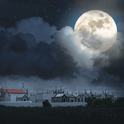 WS Dark Night: Moonlit Cemetery