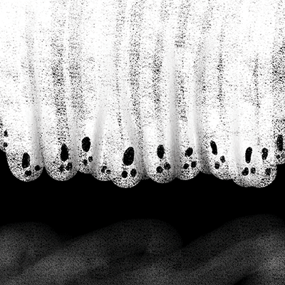 WS Dark Night: Moonlit Cemetery