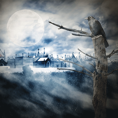 WS Dark Night: Full Moon