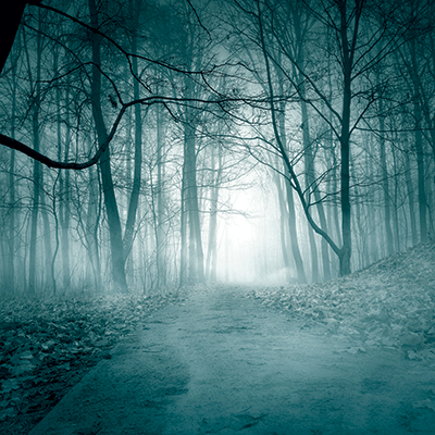 WS Dark Night: Foggy Night