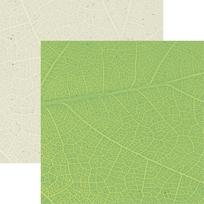 Earth Day: Earth Day