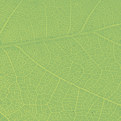 WS Earth Day: Earth Day