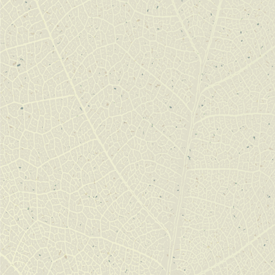 Earth Day: Earth Day