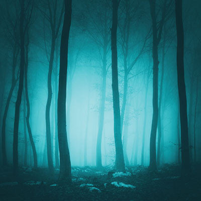 WS Eerie Night: Eerie Night