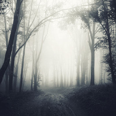 WS Eerie Night: Eerie Night