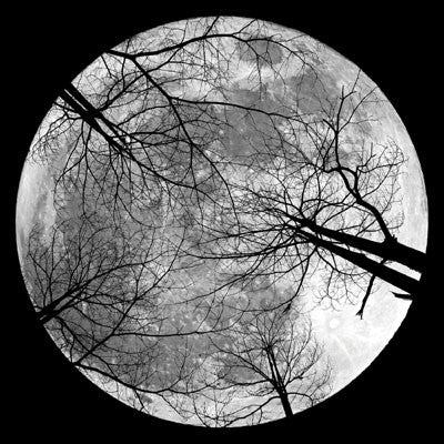 WS Eerie Night: Full Moon