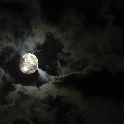 Eerie Night: Cemetery Secrets