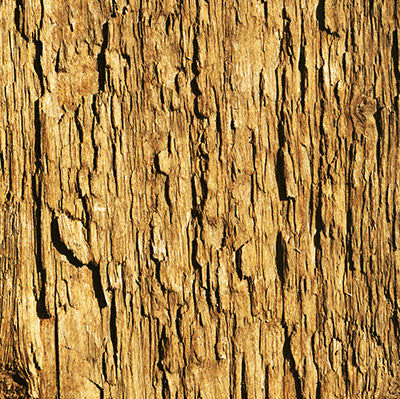 WS Elements: Stability