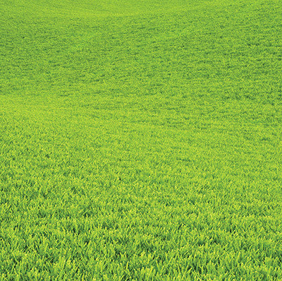 WS Elements: Nurture