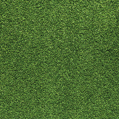 WS Elements: Nurture