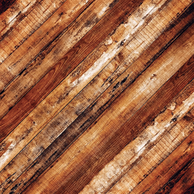 Elegant Woods: Elegant Woods 3