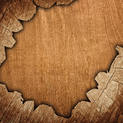 Elegant Woods: Elegant Woods 5